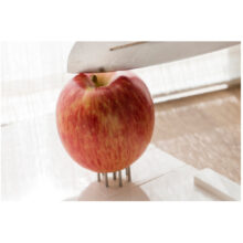 2530_6.jpg 2530_6.jpg