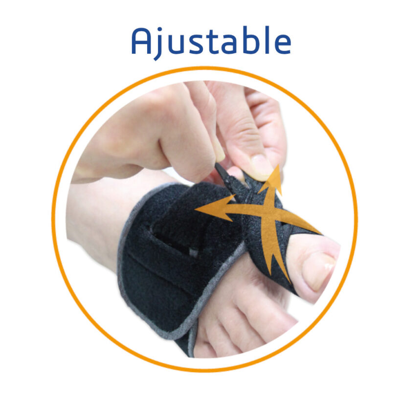 3522X_2.jpg 3522X_2.jpg